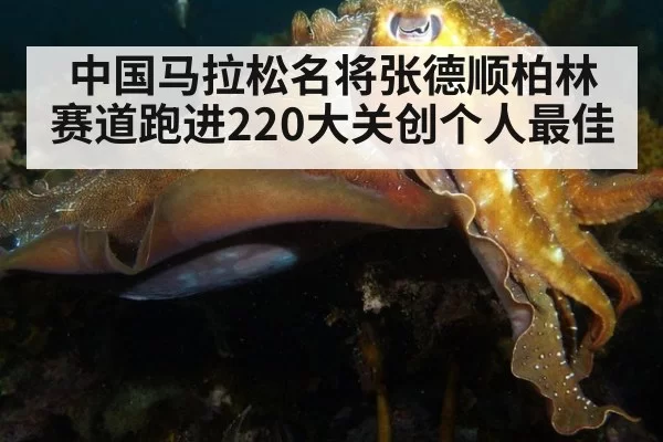 中国马拉松名将张德顺柏林赛道跑进220大关创个人最佳
